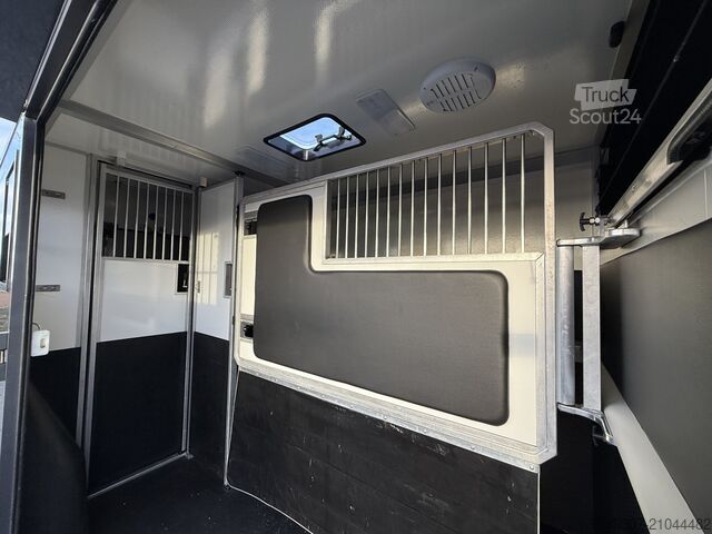 Transport de chevaux OPEL MOVANO PAARDENWAGEN | HORSETRUCK | STX AKX | ST...