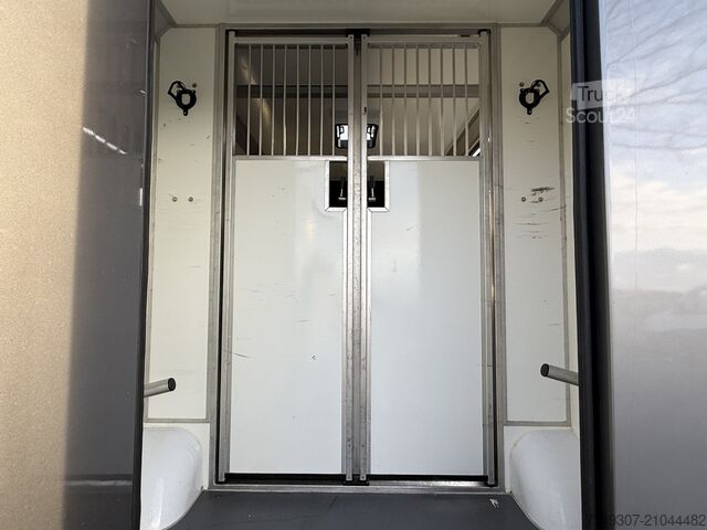 Transport de chevaux OPEL MOVANO PAARDENWAGEN | HORSETRUCK | STX AKX | ST...