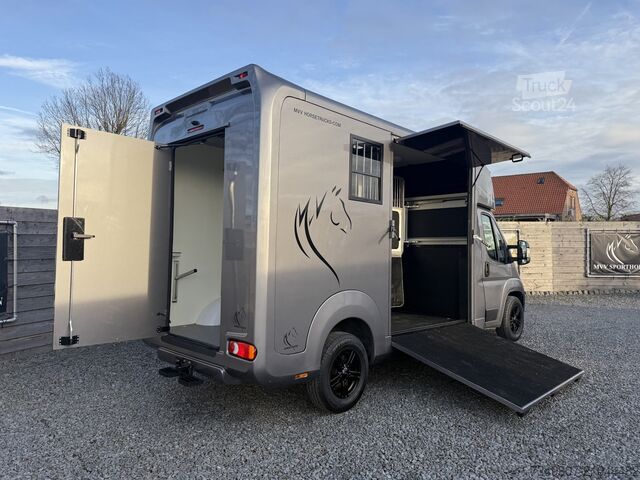 Transport de chevaux OPEL MOVANO PAARDENWAGEN | HORSETRUCK | STX AKX | ST...