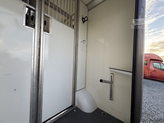 Transport de chevaux OPEL MOVANO PAARDENWAGEN | HORSETRUCK | STX AKX | ST...