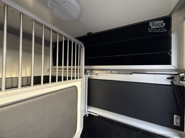 Transport de chevaux OPEL MOVANO PAARDENWAGEN | HORSETRUCK | STX AKX | ST...