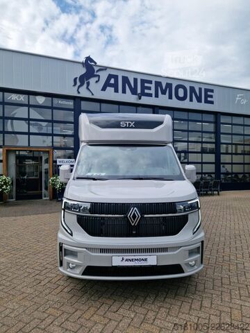Перевозка лошадей Renault Master Automaat STX S5L,paardenwagen hengsten u...