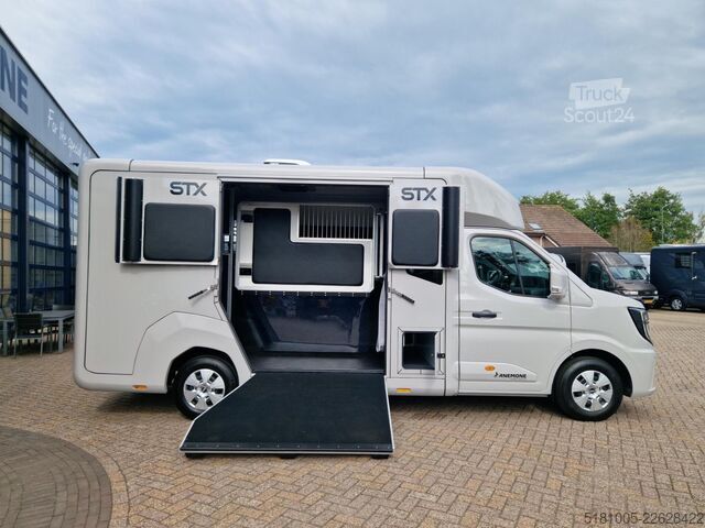 Перевозка лошадей Renault Master Automaat STX S5L,paardenwagen hengsten u...
