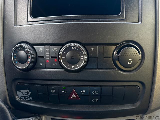 Minibus MERCEDES-BENZ Sprinter 313 Cdi Maxi Flex-i-Trans 9 Sitze+Lift