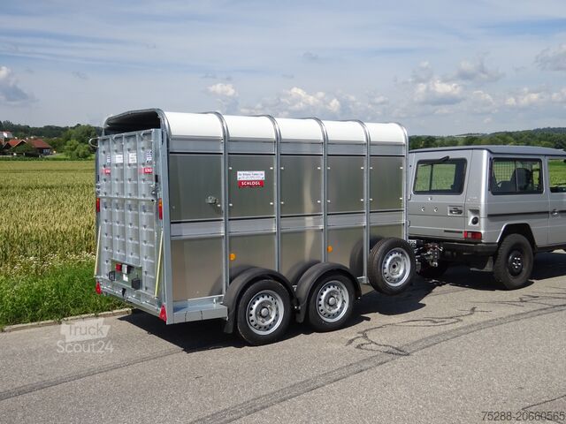 Viehanhänger Ifor Williams TA5G10 mit Kombiklappe