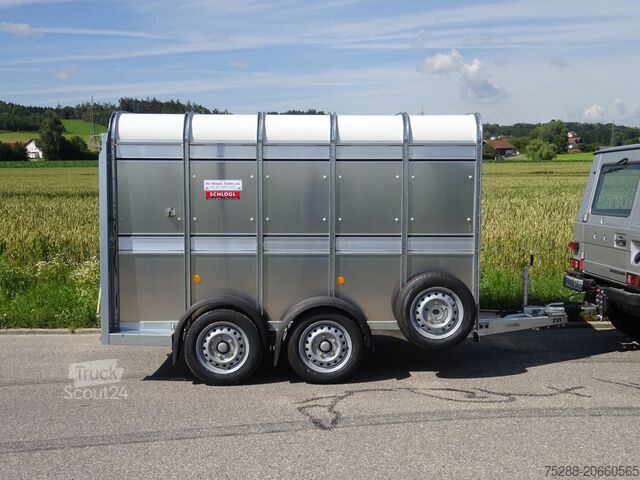 Viehanhänger Ifor Williams TA5G10 mit Kombiklappe