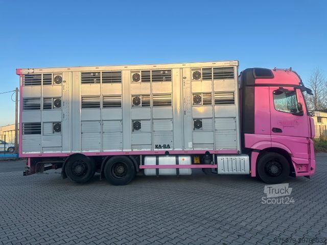 Liellopu pārvadāšanas kravas automašīna MERCEDES-BENZ Actros 2563 / Kaba 3 x Stock 50 m²
