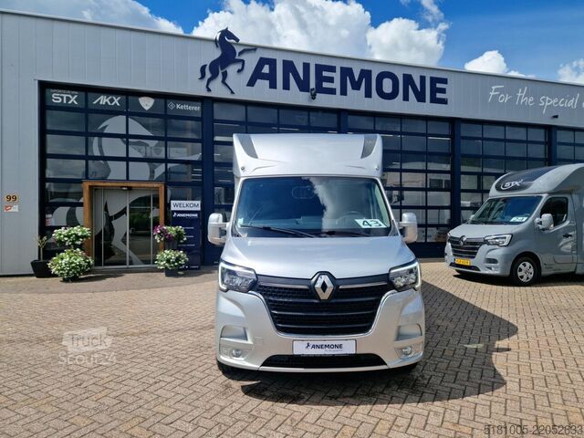 Trasporto di cavalli Renault Master Theault S5L paardenwagen Pro-Safety heng...