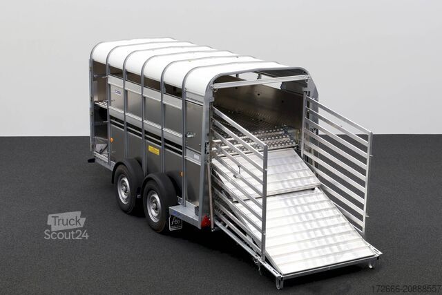 причіп для перевезення худоби Ifor Williams TA5 HD | 12x6 | DOPPELSTOCK 372X156X183CM VIEHANHÄNGER | 2X LÜFTUNG