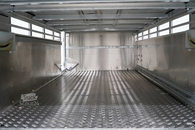 причіп для перевезення худоби Ifor Williams TA5 HD | 12x6 | DOPPELSTOCK 372X156X183CM VIEHANHÄNGER | 2X LÜFTUNG