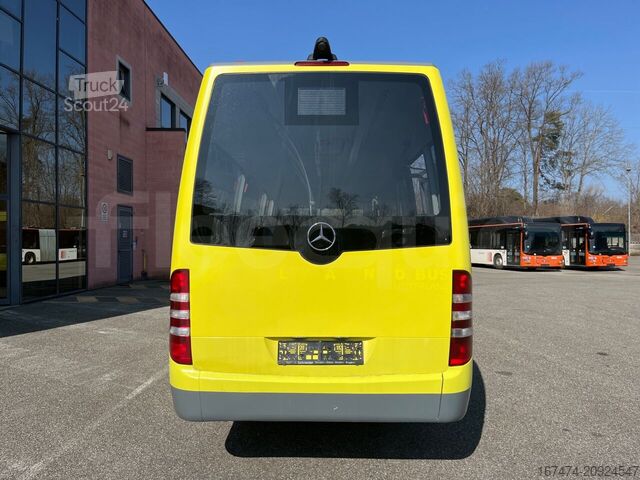 Miniautocarro Mercedes-Benz SPRINTER CITY 65
