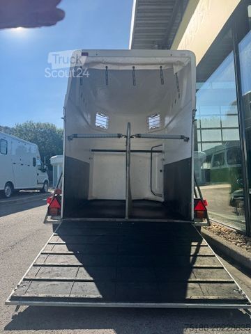 Paardentransportaanhanger  Köper 2 Pferdeanhänger Vollpoly 2t