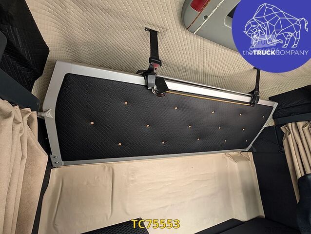 Standard-SZM MAN TGX 18.480
