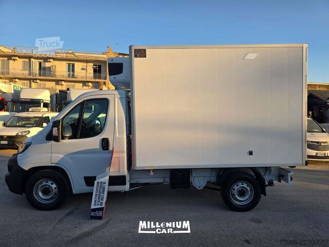 Soğutucu kasa panelvan FIAT FIAT DUCATO 2023 CELLA 3,10 FRC
