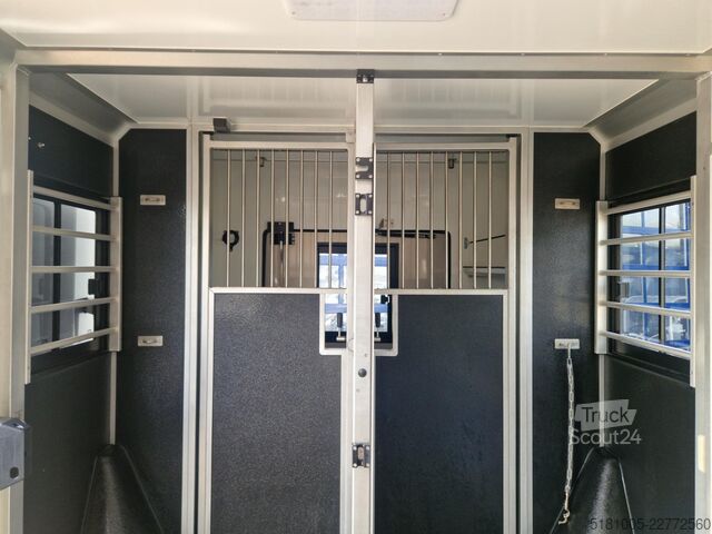 Pferdetransport Ford Transit 3.139km!Paardenwagen hengsten uitvoerin...