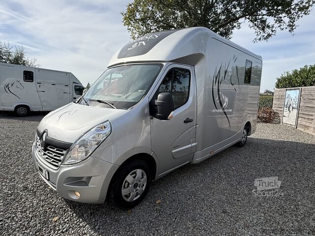 Transport koni Renault Master | HORSETRUCK | STX | STALLION 3XL | 2015...