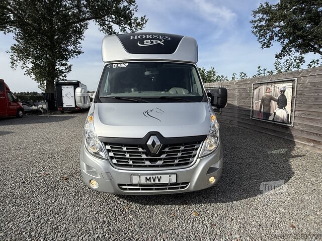 Transport koni Renault Master | HORSETRUCK | STX | STALLION 3XL | 2015...