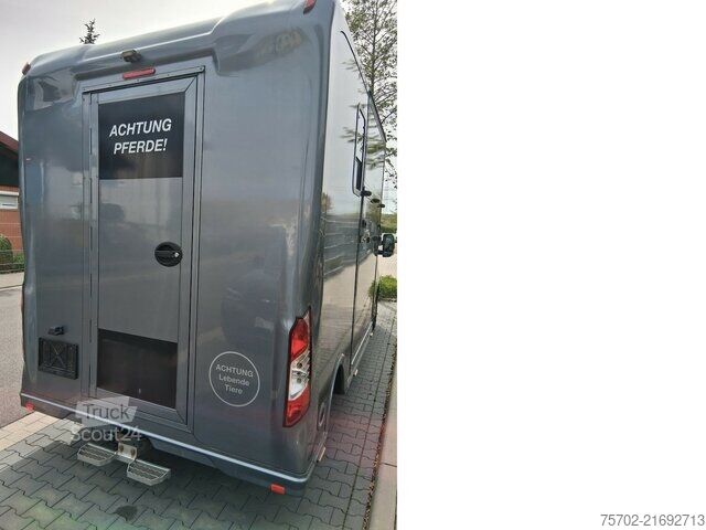 Furgon Renault Master 1-2 Pferde Hengsttrennung