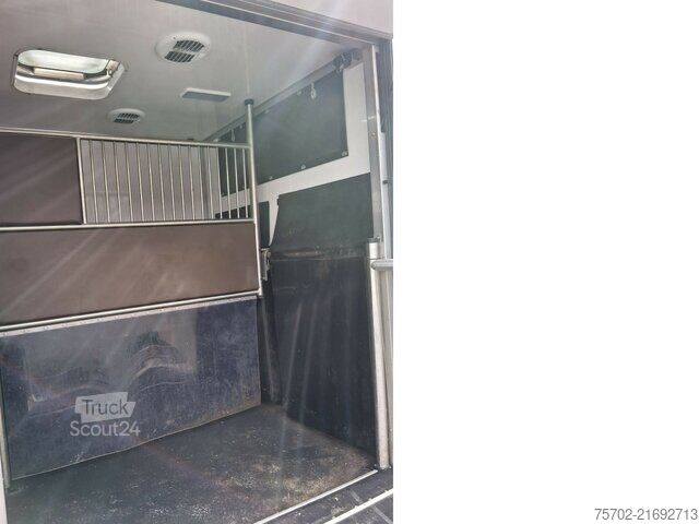 Furgon Renault Master 1-2 Pferde Hengsttrennung