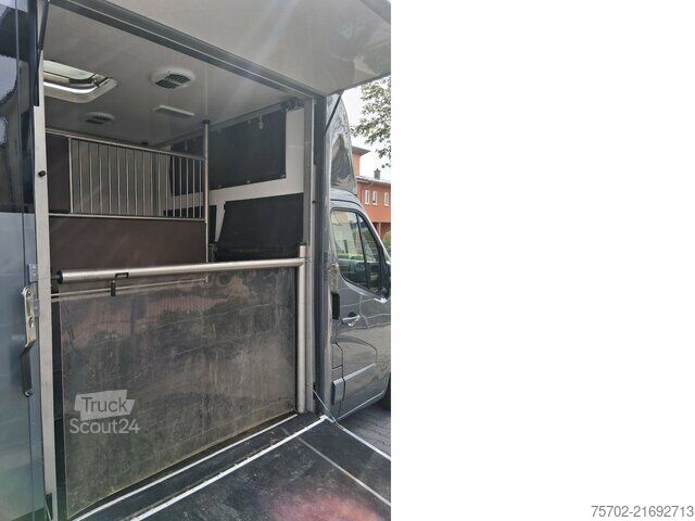 Furgon Renault Master 1-2 Pferde Hengsttrennung