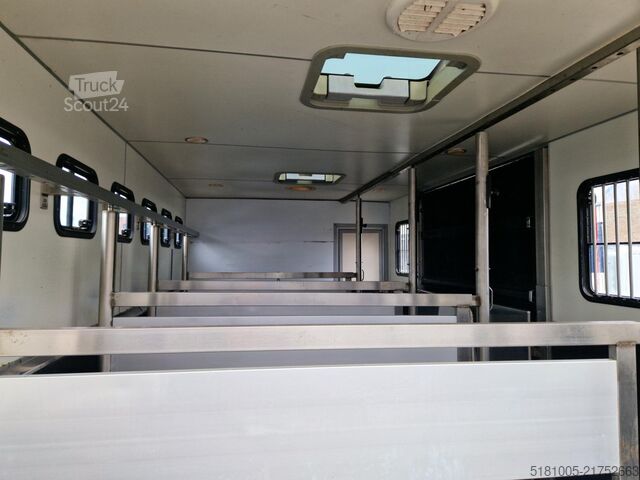 Transporte de cavalos Iveco ML120 Kom snel kijken voor deze scherpe meeneem...