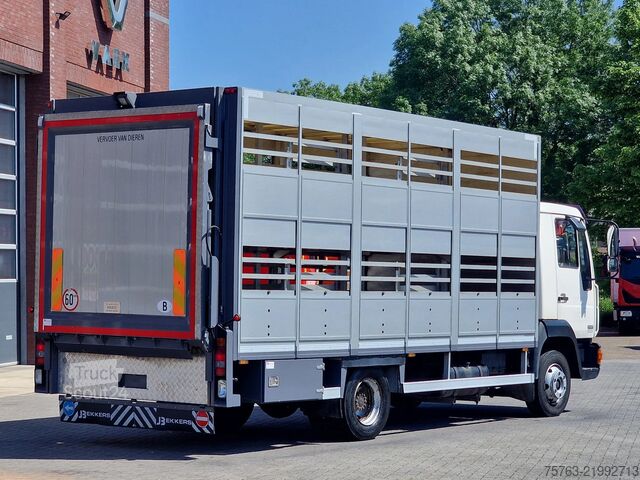 Transport de bétail MAN TGL 8.240 - 2 deck livestock Bekkers - Loadlift...