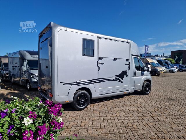 Žirgų transportas Opel Movano AKX S3 paardenwagen hengsten uitvoering ...