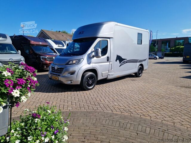 Žirgų transportas Opel Movano AKX S3 paardenwagen hengsten uitvoering ...