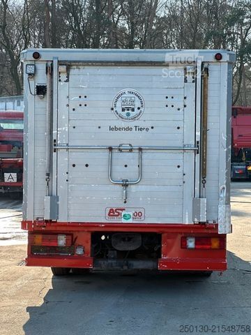 Bestelwagenchassis MERCEDES-BENZ 817L 4x2