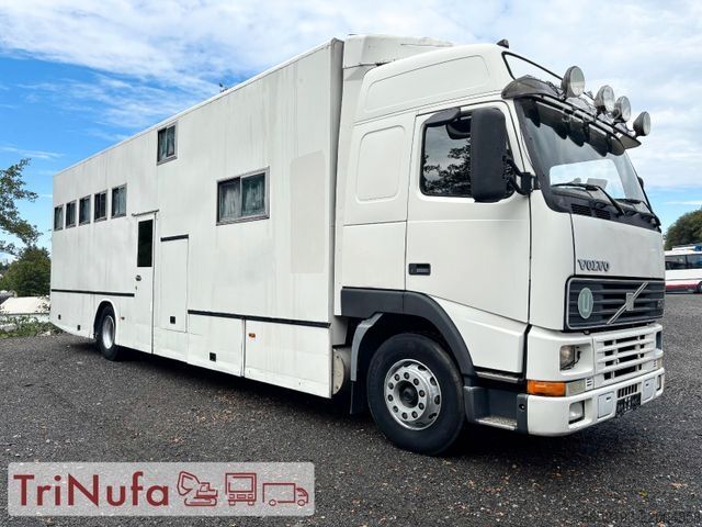 Sığır taşıma kamyonu VOLVO FH 12 Pferdetransporter | 401.304 KM | 6 Pferde
