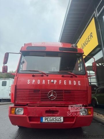 Veetransporter MERCEDES-BENZ 814 Pferdetransporter LKW 3-4 Pferde Wohnabt