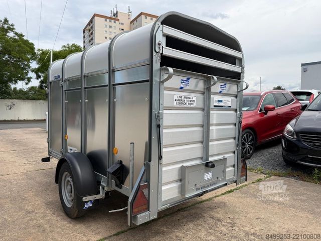 Paardentransportaanhanger IFOR WILLIAMS P8G + Vieh + 242cm x 123cm x 144cm