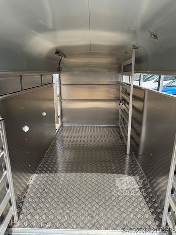 Paardentransportaanhanger IFOR WILLIAMS P8G + Vieh + 242cm x 123cm x 144cm