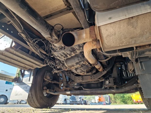 Caminhão frigorífico MAN TGM 18.290 4X2 LL/Ldbw/Triple Verdamp. /FRC 2020