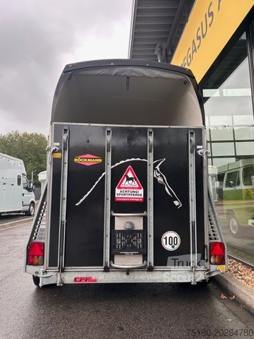 Hästtransportsläp BÖCKMANN Comfort 2 Pferdeanhänger 2,4to DS Aluboden