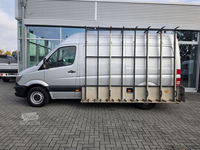 Furgon MERCEDES-BENZ Sprinter 316 CDI Kasten/Hegla Glasreff/AHK/Navi