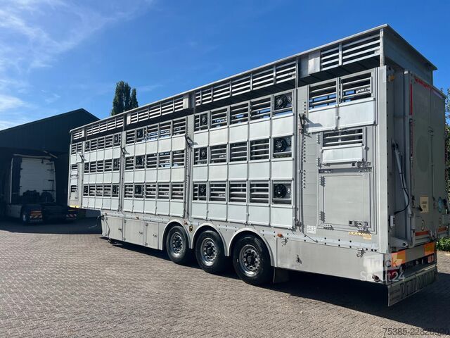 Transport de bovine Pezzaioli 1/2/3 Livestock Type 2 Perfect condition