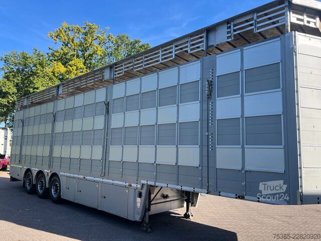 Transport de bovine Pezzaioli 1/2/3 Livestock Type 2 Perfect condition