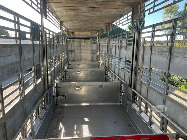 Transport de bovine Pezzaioli 1/2/3 Livestock Type 2 Perfect condition