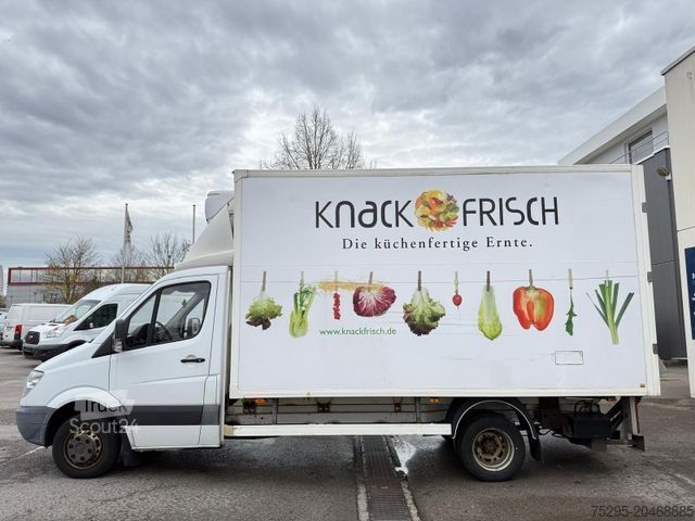 Kjølebil MERCEDES-BENZ Sprinter 513 CDI Tiefkühl Carrier LBW TÜV03/26