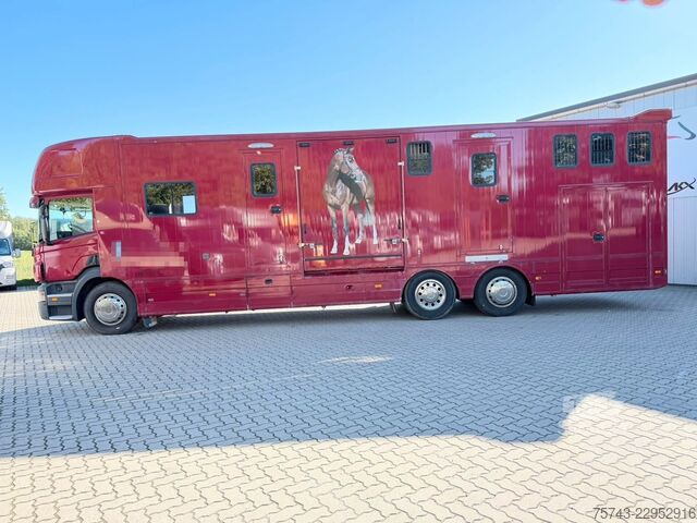 Boskapsbil SCANIA P320 EHC Aufbau 6-7 Pferde Wohnung