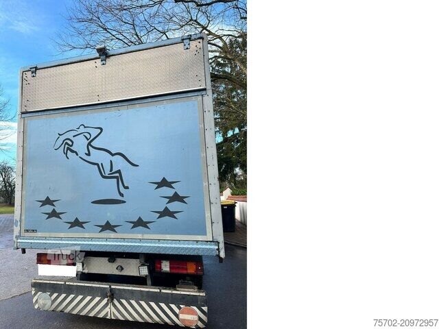 Veetransporter Mercedes-Benz 814 L 3 Pferde Oldtimer