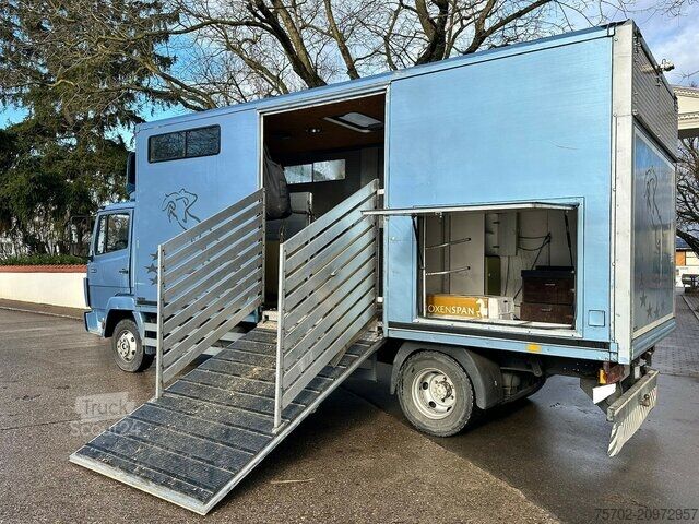 Veetransporter Mercedes-Benz 814 L 3 Pferde Oldtimer