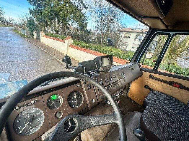 Veetransporter Mercedes-Benz 814 L 3 Pferde Oldtimer