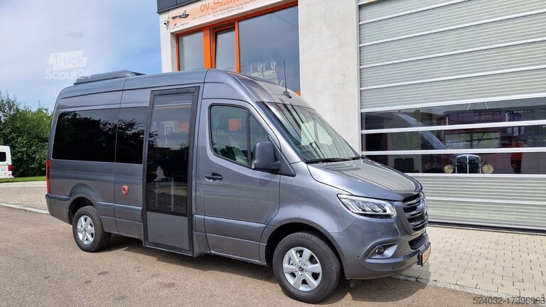 Minibus Mercedes-Benz sprinter 319