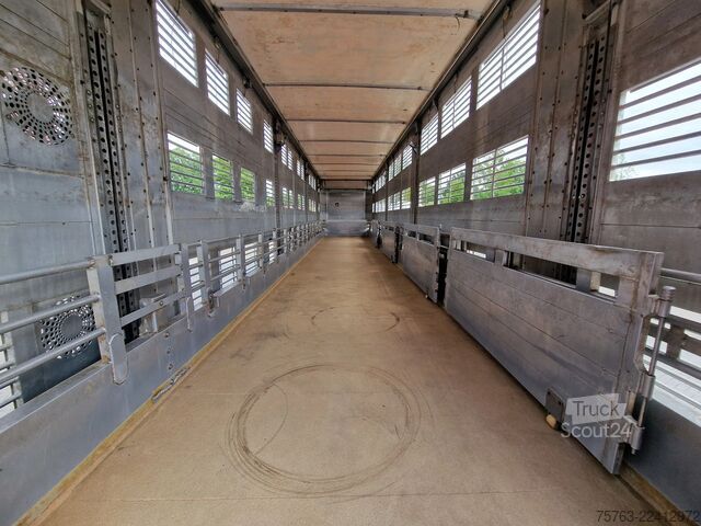 Перевозка крупного рогатого скота Finkl 3 deck - lift- water - vans - steering axle