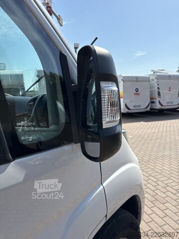 Caravane/camping-car 2024 Fiat Ducato Weinsberg Carabus Manuel | Toit relevable