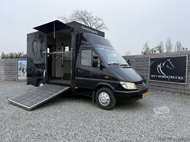 Paarden transport Mercedes-Benz Sprinter PAARDENWAGEN | HORSETRUCK | TVW | CLAS...
