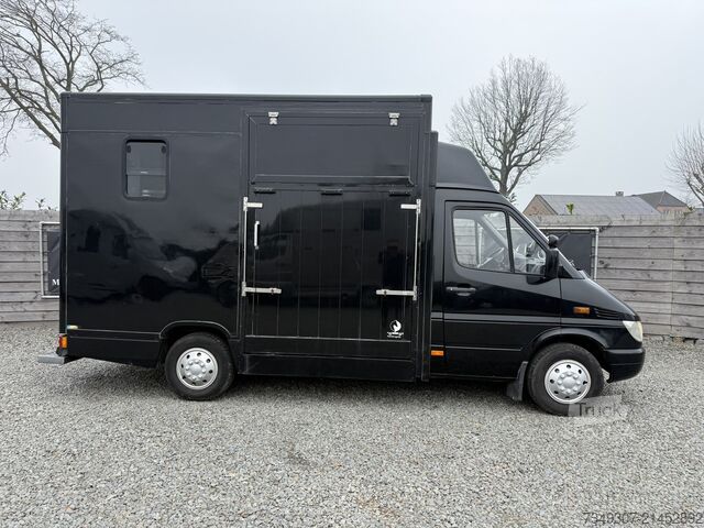 Paarden transport Mercedes-Benz Sprinter PAARDENWAGEN | HORSETRUCK | TVW | CLAS...