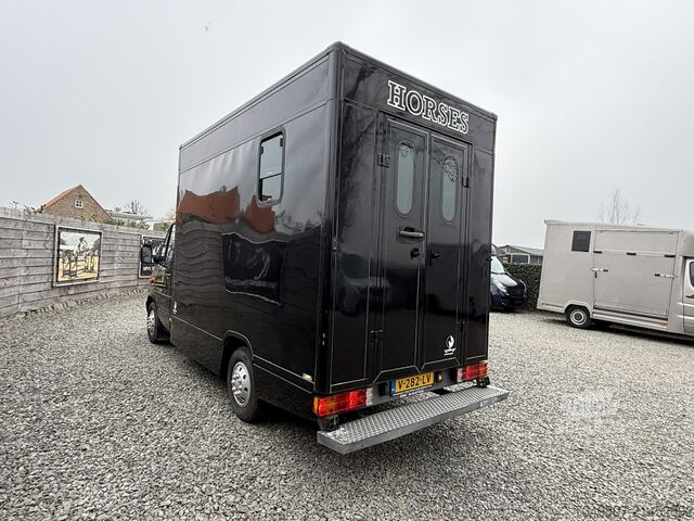 Paarden transport Mercedes-Benz Sprinter PAARDENWAGEN | HORSETRUCK | TVW | CLAS...